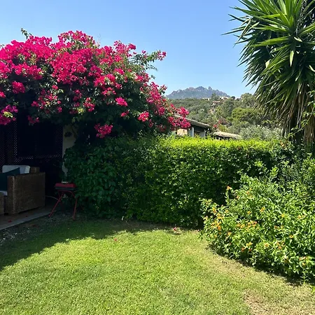 Domu Paradisu